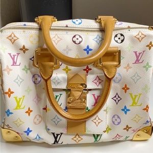 Louis Vuitton multicolor speedy 30 bag